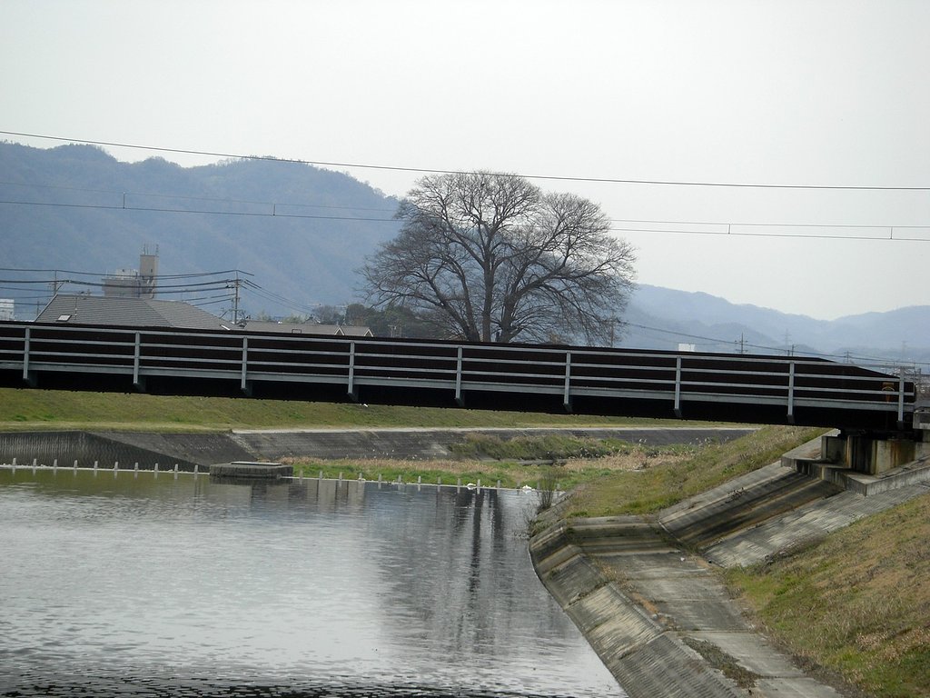 シンメトリー再び