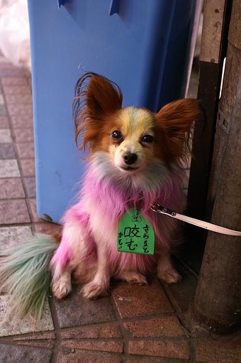 ああ、哀しい・・・。