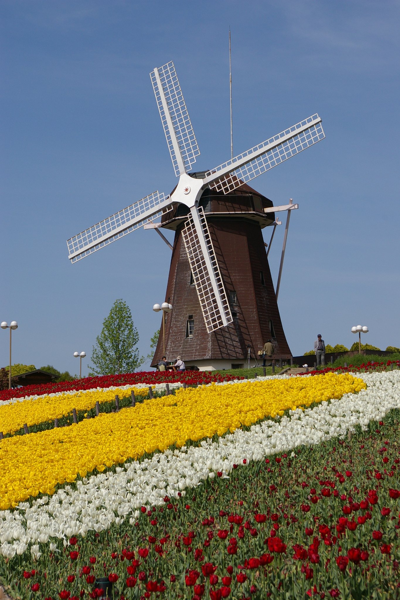 オランダ風