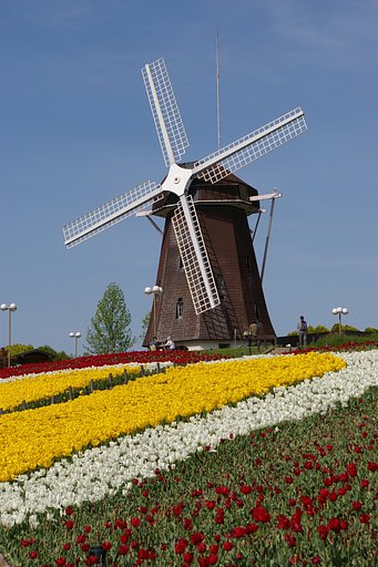 オランダ風