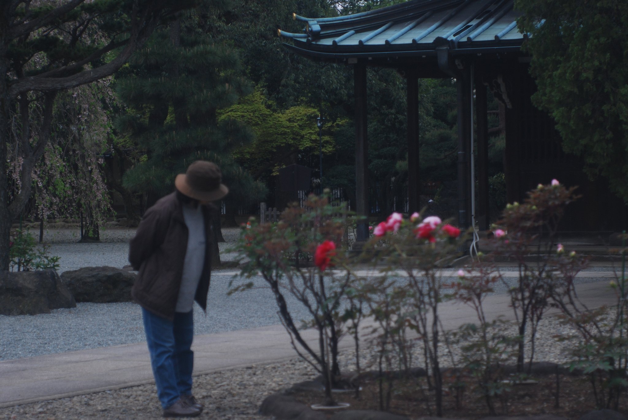 豪徳寺にて