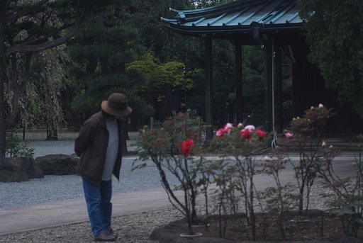 豪徳寺にて