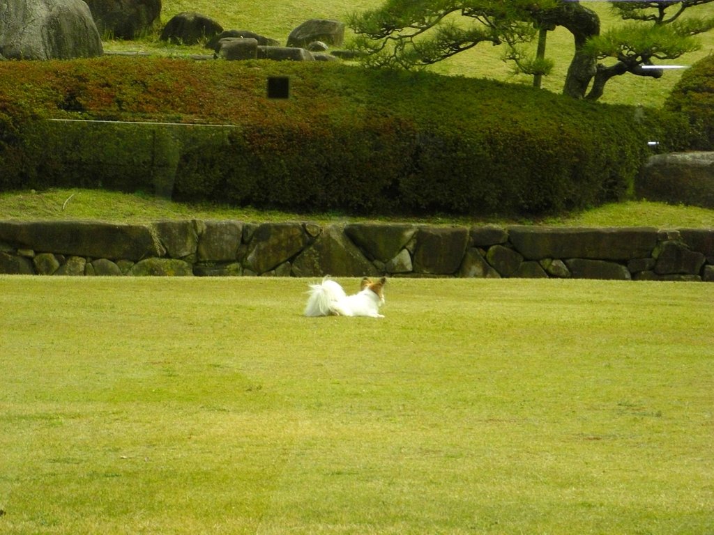 春うらら