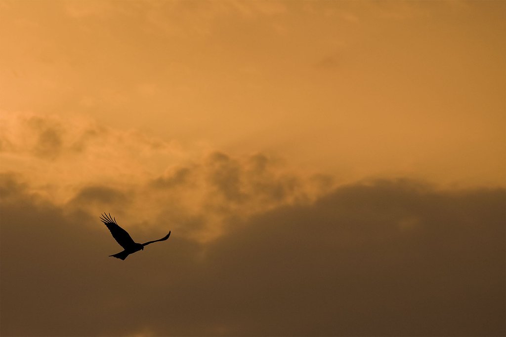 夕暮れ空