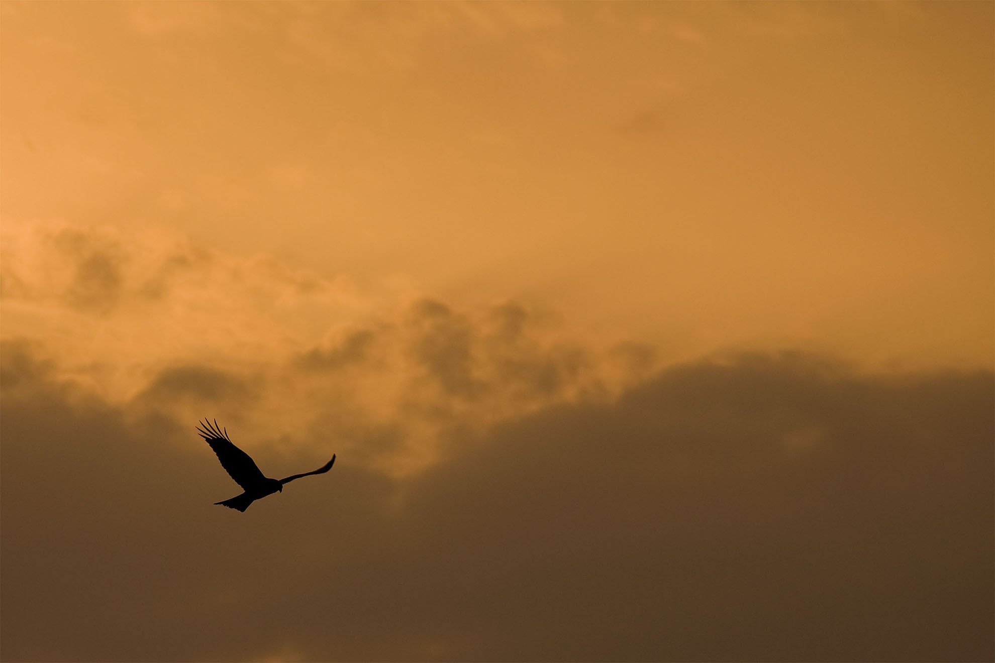 夕暮れ空