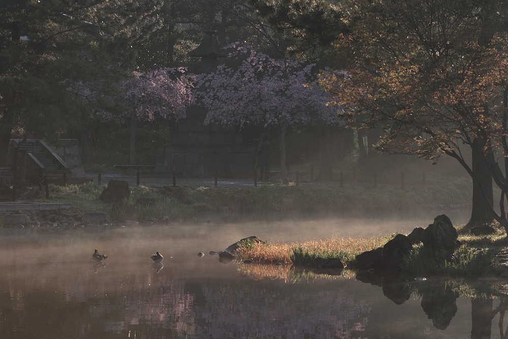 今朝の称名寺