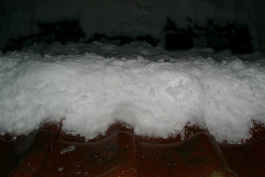 元旦の積雪！