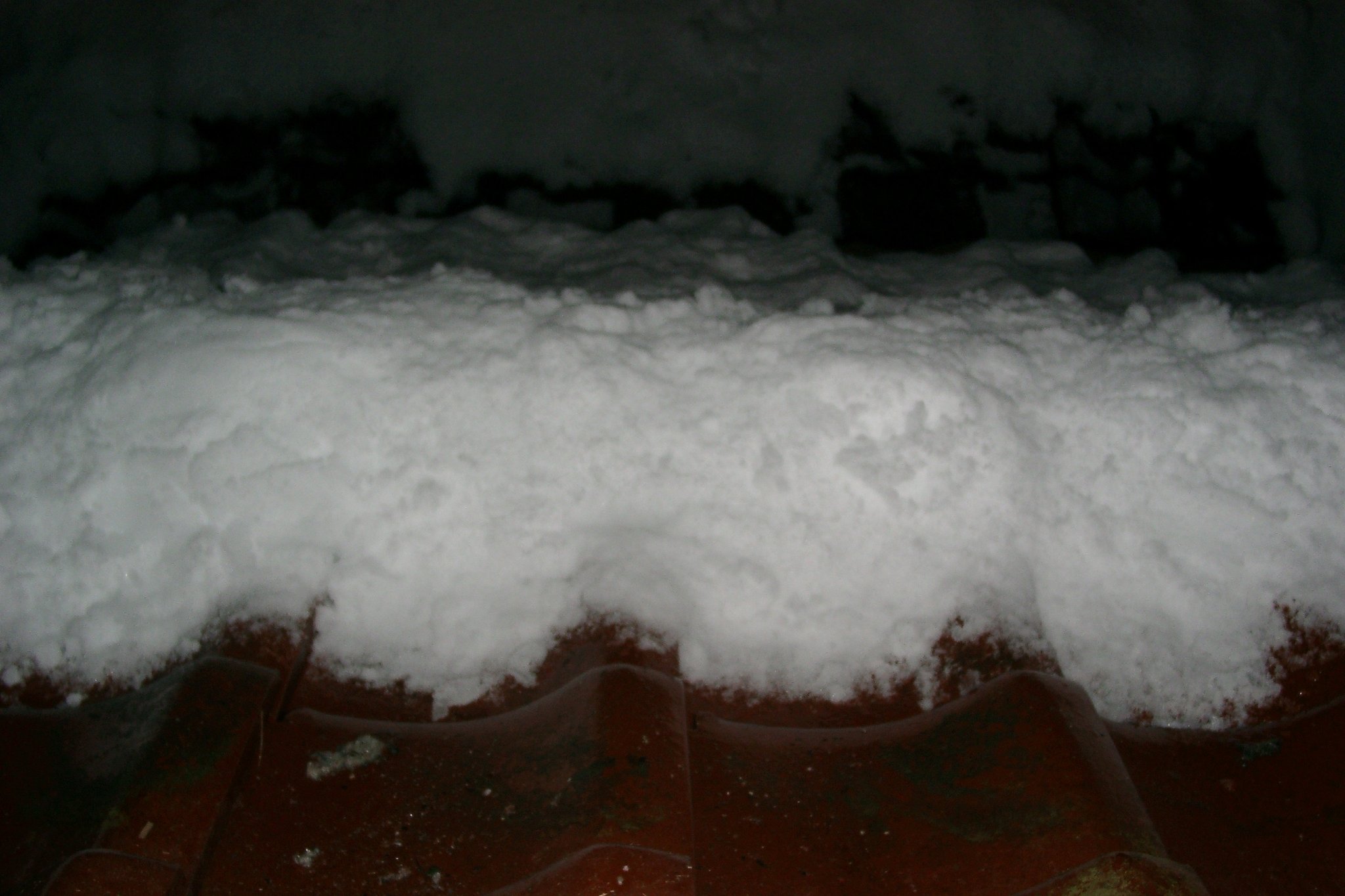 元旦の積雪！