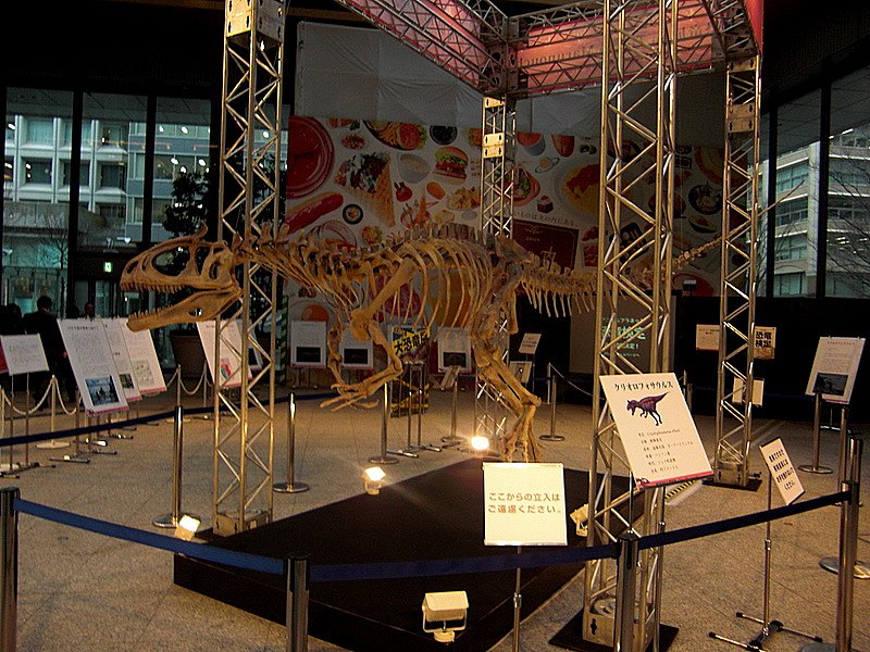 丸ビルの恐竜全身骨格