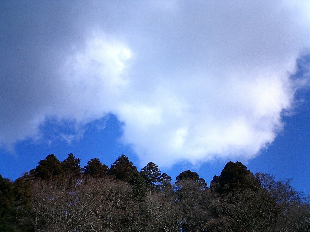 冬の空