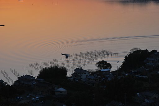 牡蠣棚