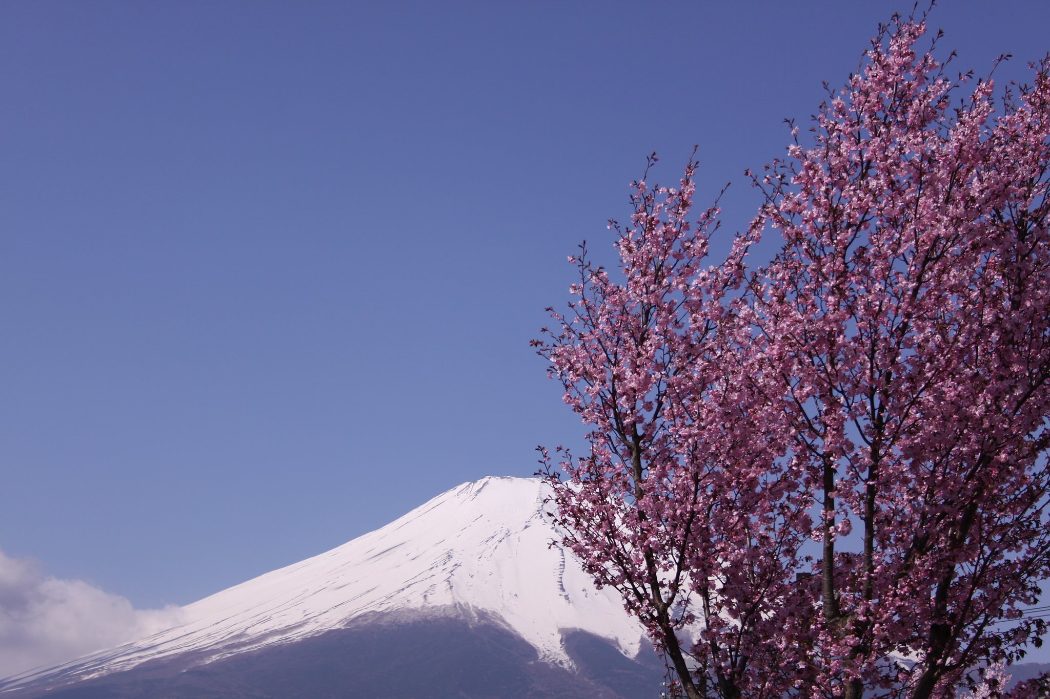 山中湖へ行ってきました！