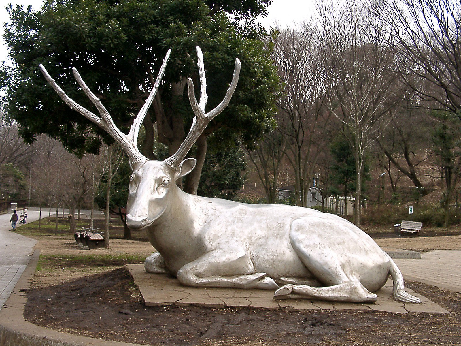 ◆冬の動物園から-32