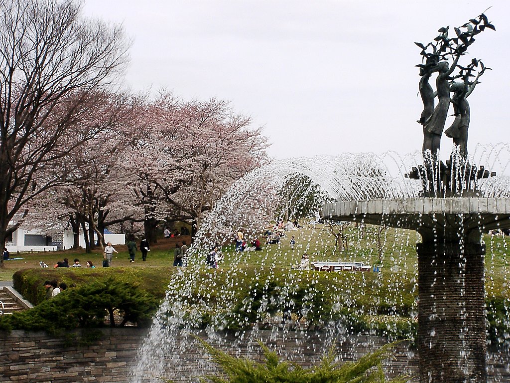 ■サクラ撮りある記-04 昭和記念公園③