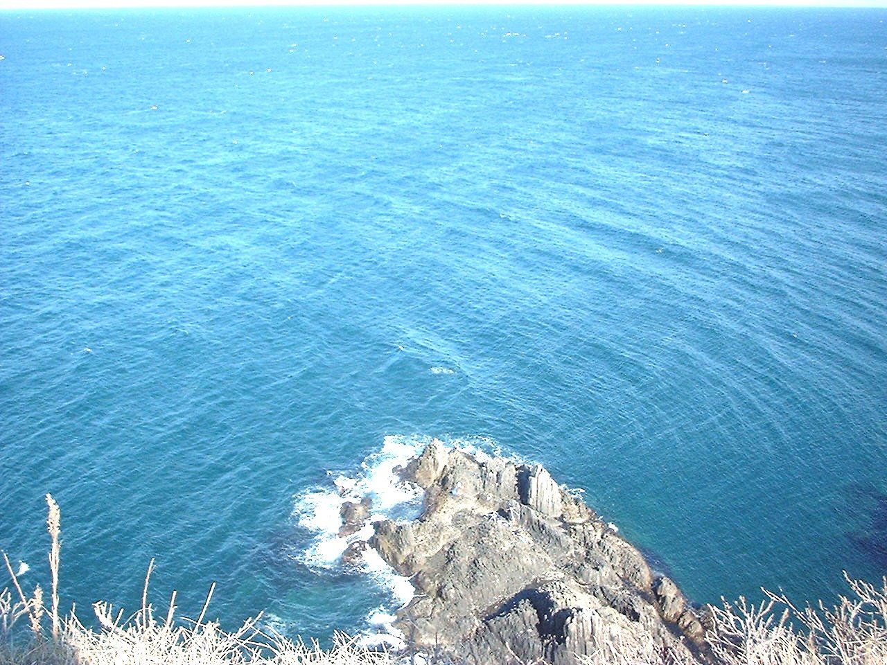 見下ろす海