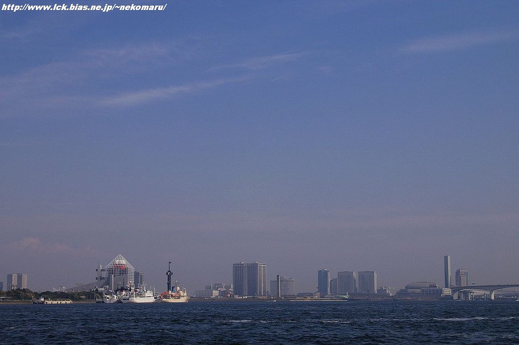 浮いている東京