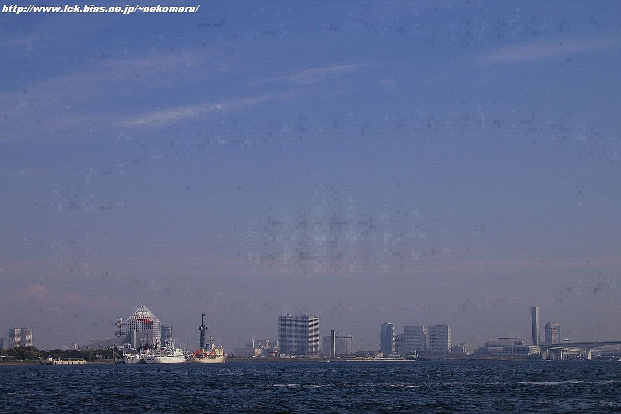 浮いている東京