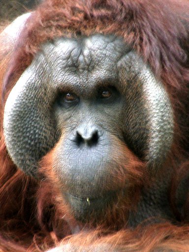 ◆冬の動物園から-36