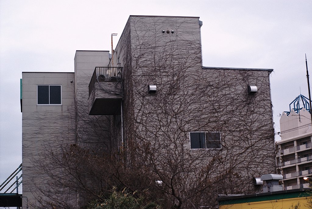 「２００８」毛むくじゃらな建物