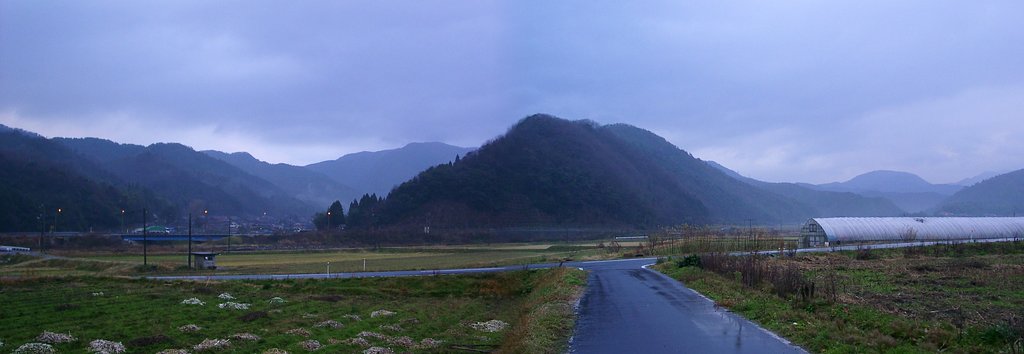 雨の朝の画像2枚連結！