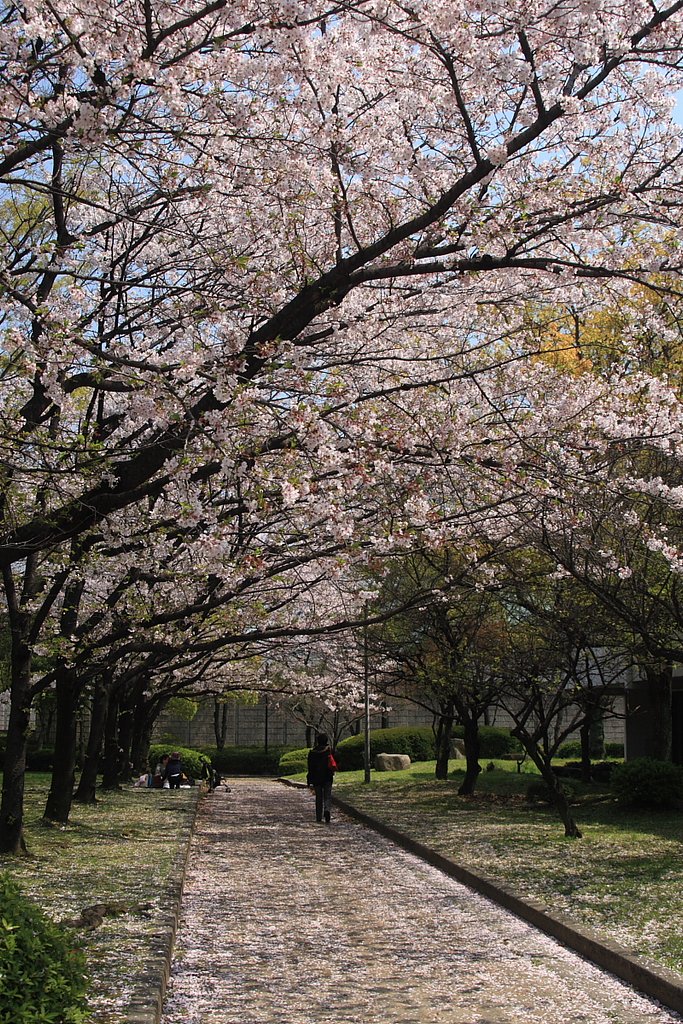 これぞ男の花道いうことなし