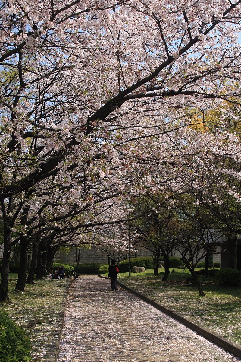 これぞ男の花道いうことなし
