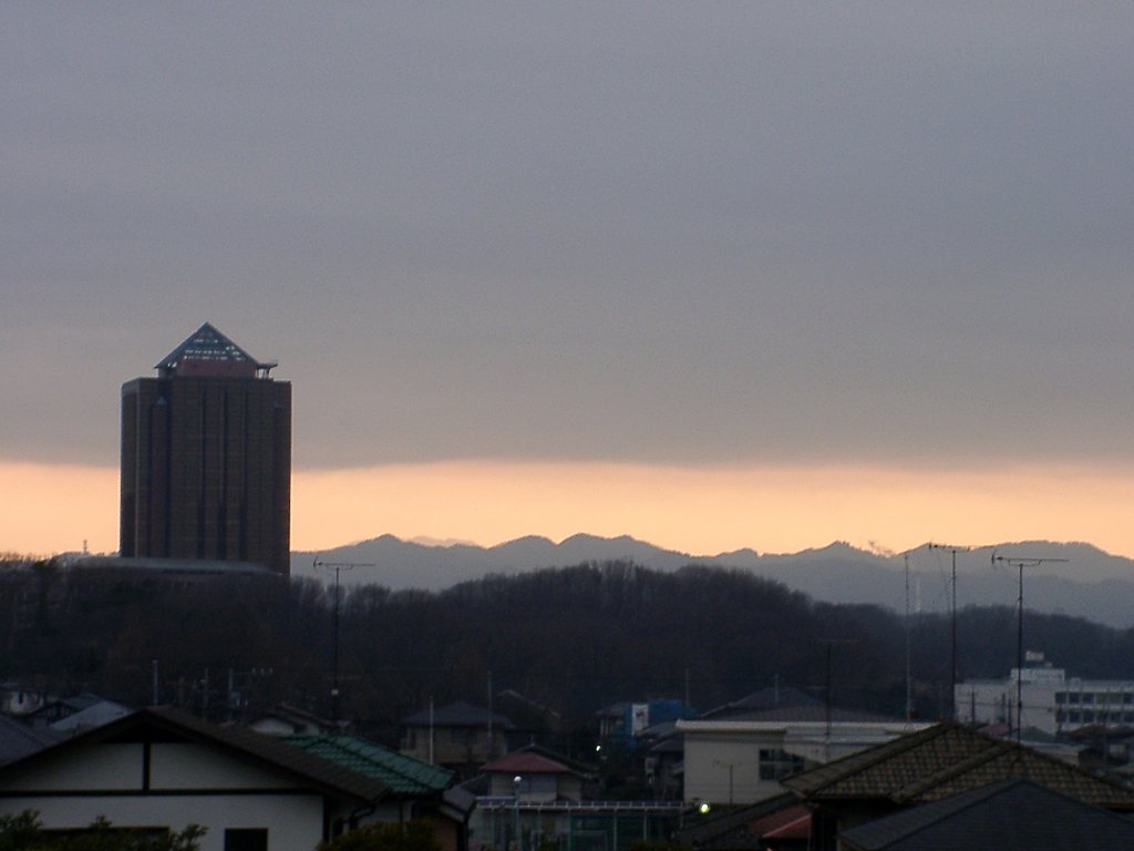 ▲日本画風の夕暮れ-22