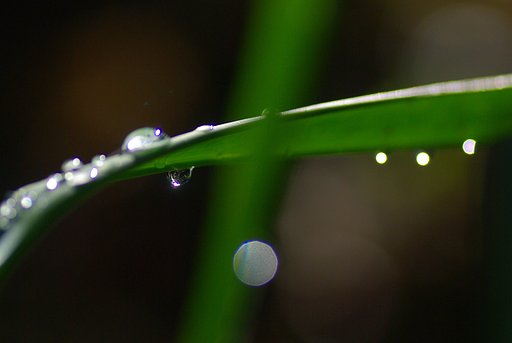 朝日のかがやき