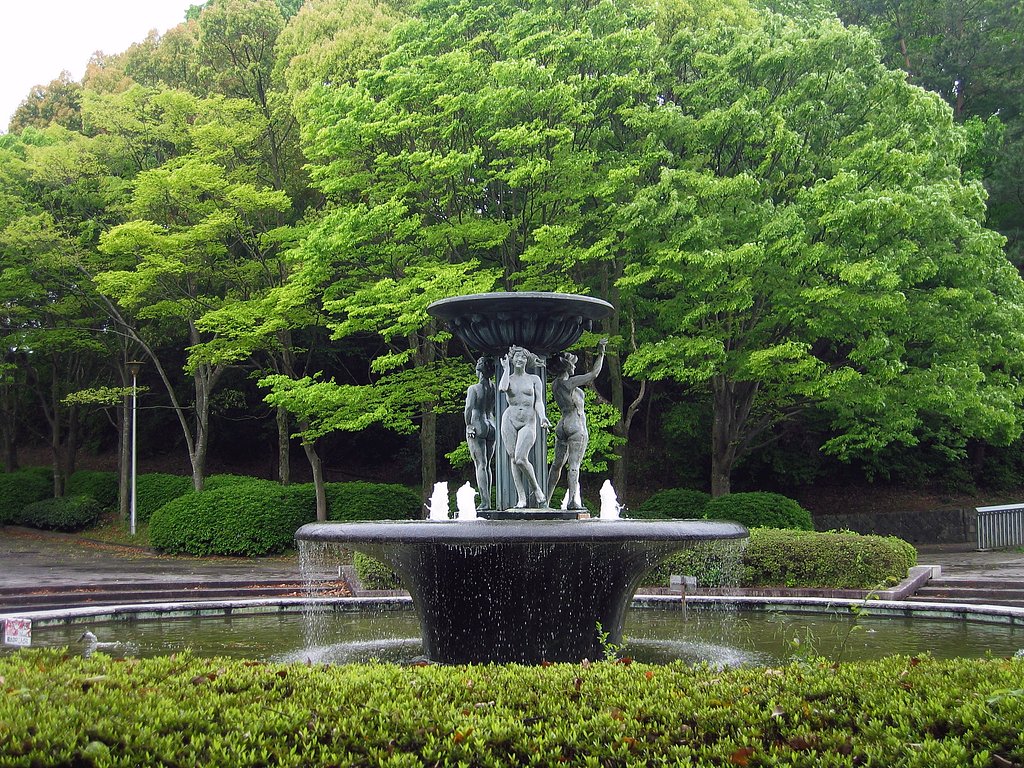 桜の次は新緑