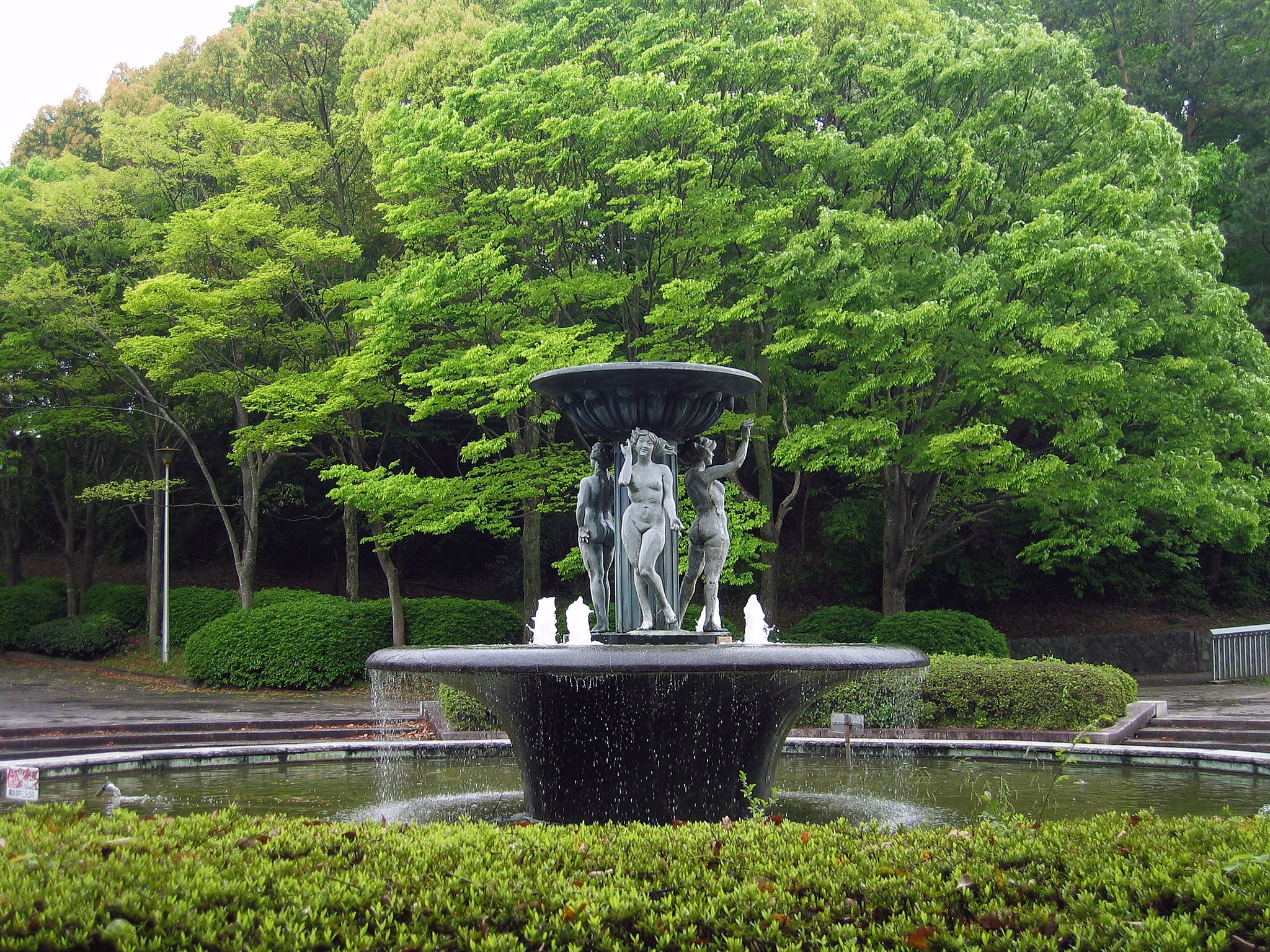 桜の次は新緑