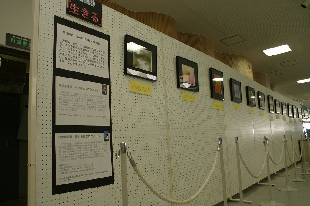 写真展