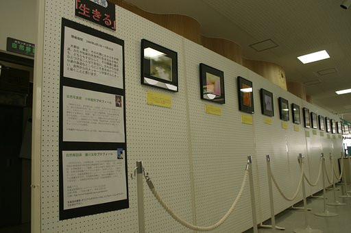 写真展