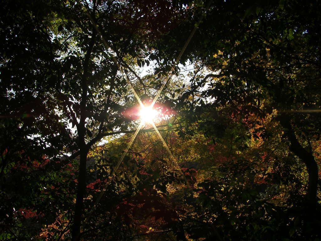 太陽の目に睨まれて！