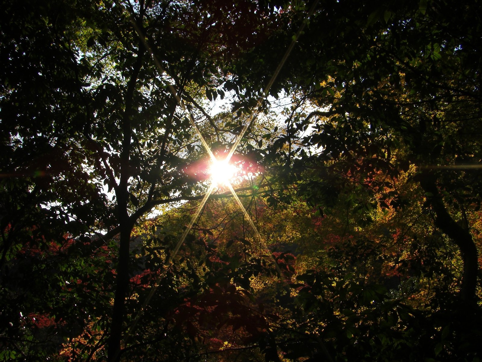 太陽の目に睨まれて！