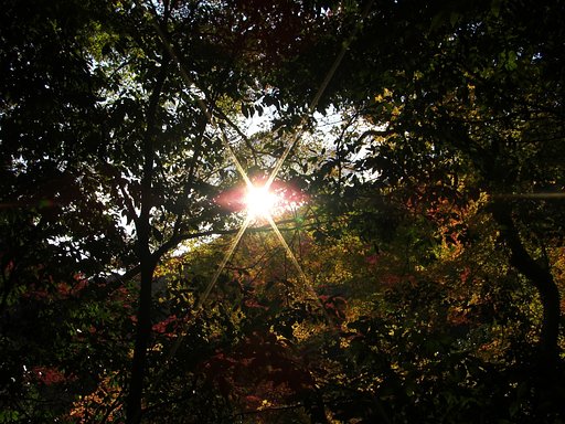 太陽の目に睨まれて！