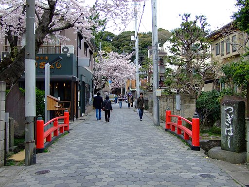 真間の継橋とさくら