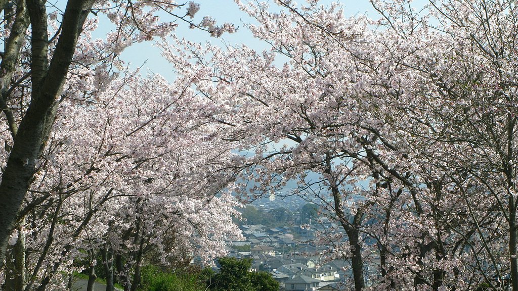 トンネルを抜けると