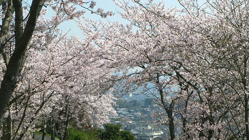 トンネルを抜けると