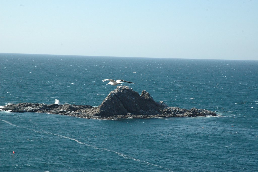 春の海（2）
