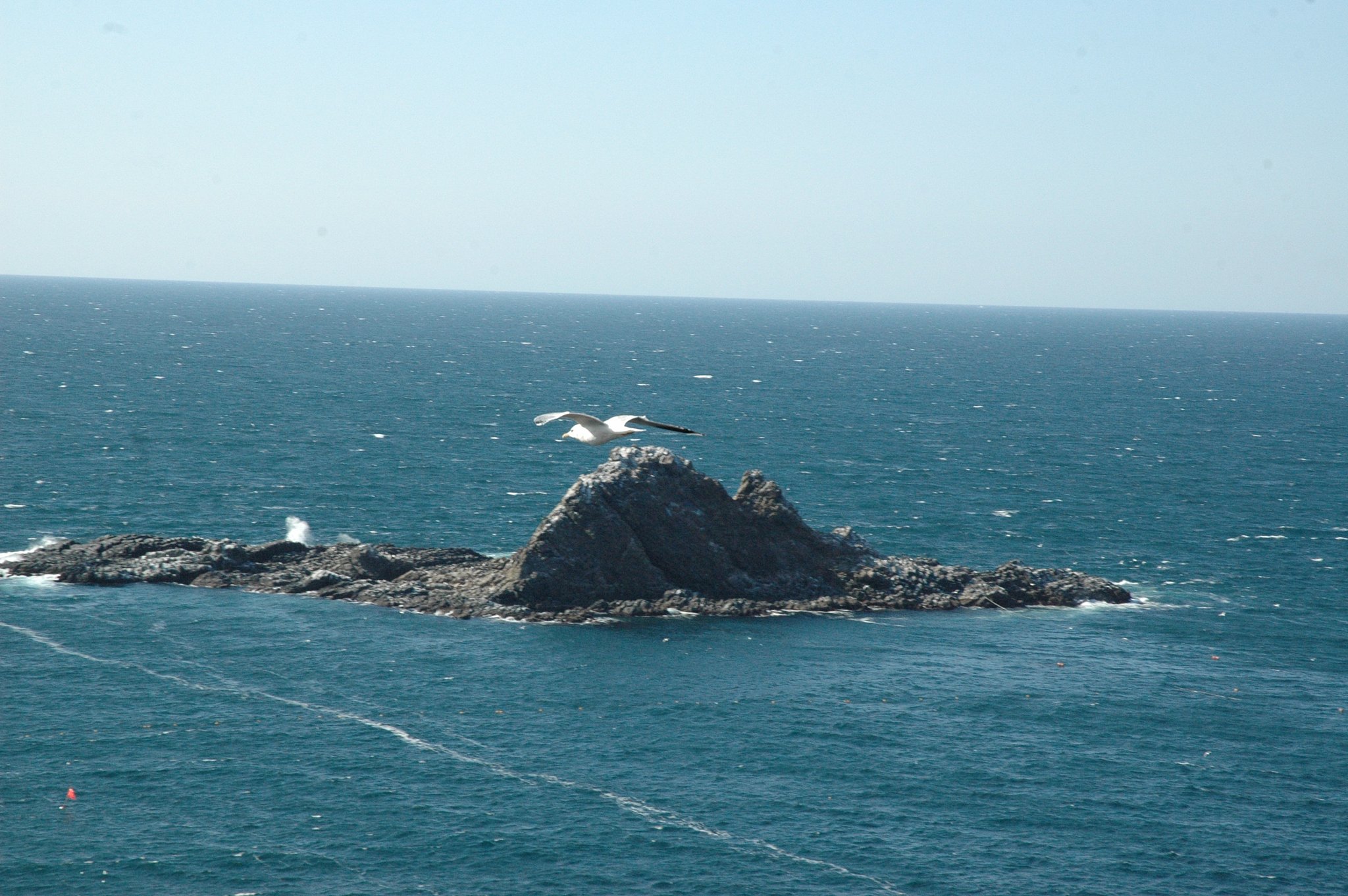 春の海（2）
