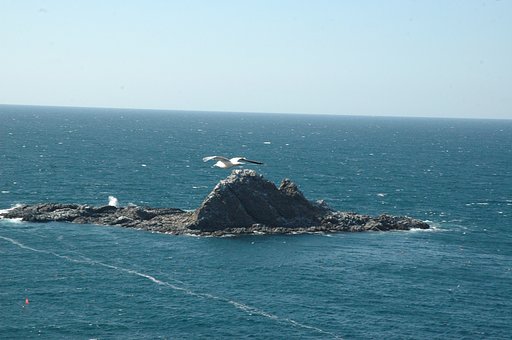 春の海（2）
