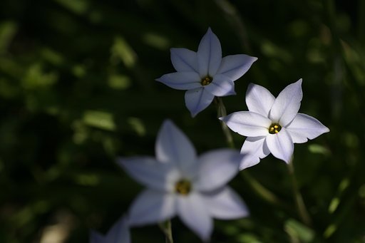 木陰でひとやすみ