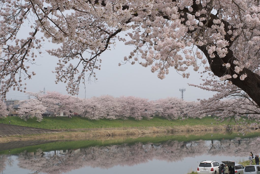 花曇り