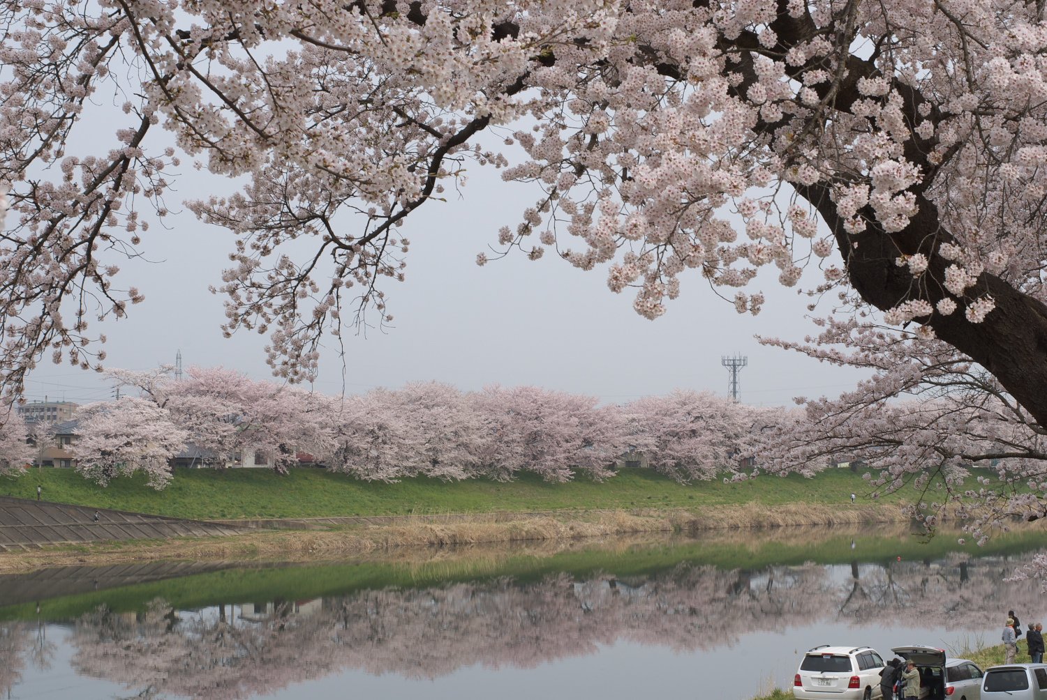 花曇り