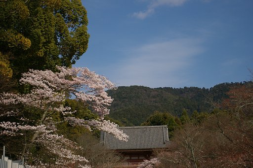 春の行楽シーズン到来