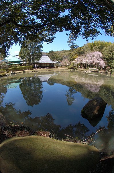 庭園