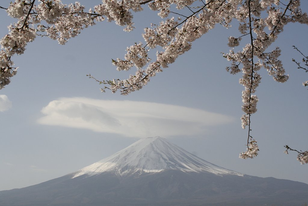 富士と桜