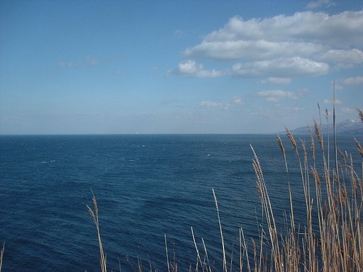 海＆ススキ