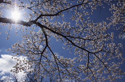 空青く