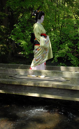 新緑の頃